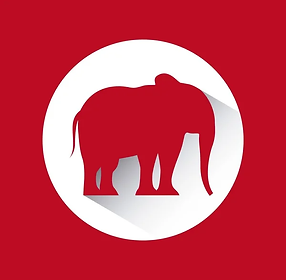 Republican Party 2nd Congressional District